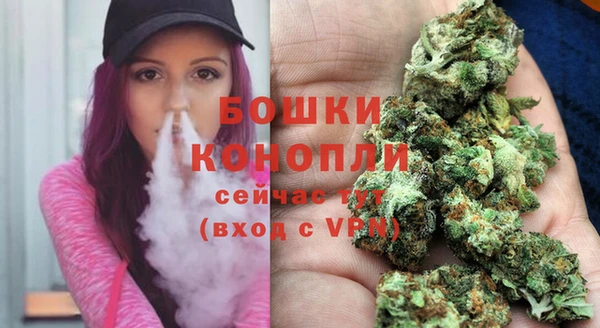 PSILOCYBIN Фурманов