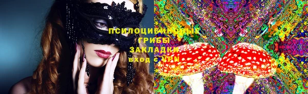 тгк Гусь-Хрустальный