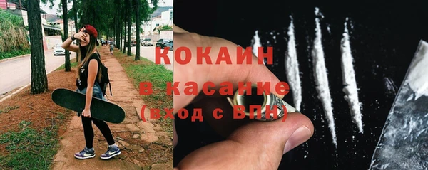 тгк Гусь-Хрустальный