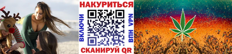 Каннабис планчик  Купить закладки  Балей 
